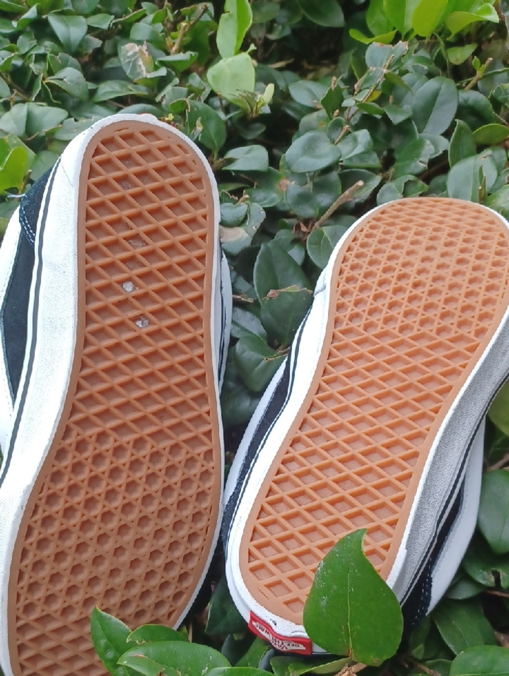 -- Vans Black and White Old Skool Low-Top Sneakers - Picture 11 of 11